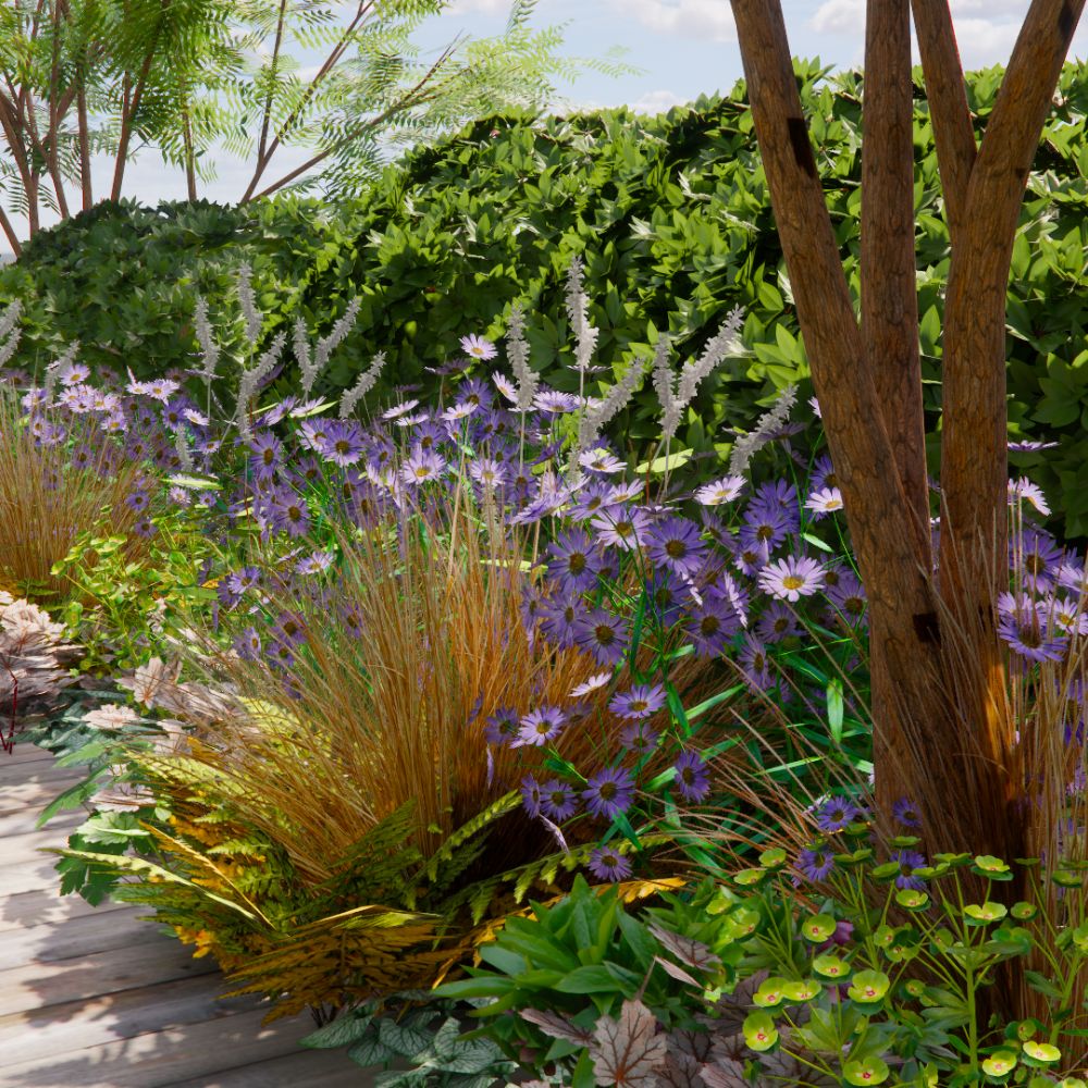 Borderpakket MIDHURST voor (half)schaduw