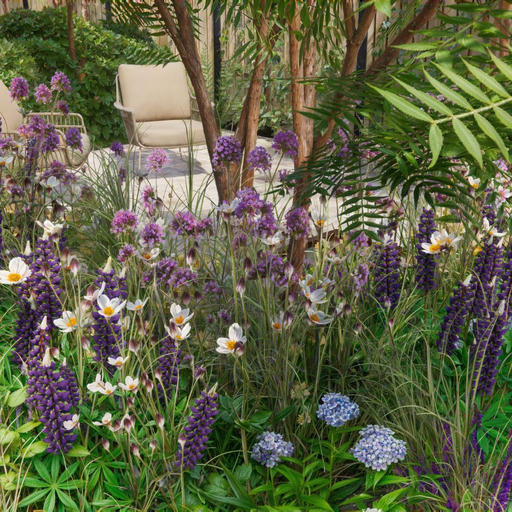 Borderpakket MILLBROOK voor halfschaduw en volle zon