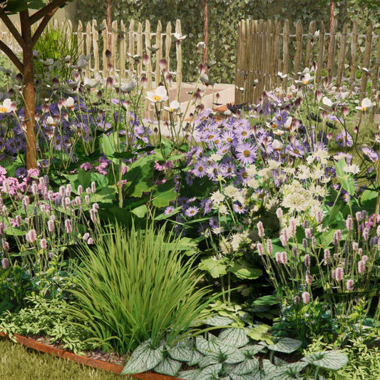 Borderpakket ROSEMOOR voor halfschaduw en volle zon