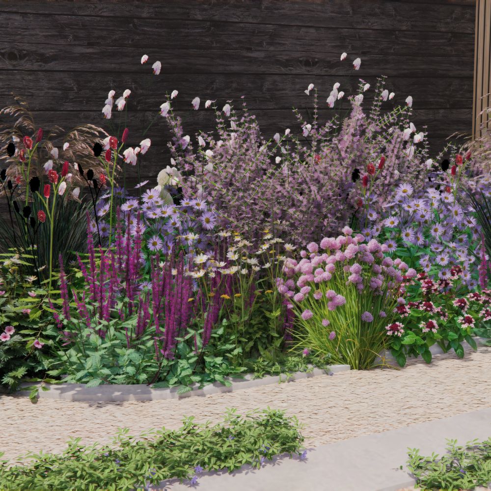 Borderpakket SPRINGFIELD voor halfschaduw en volle zon