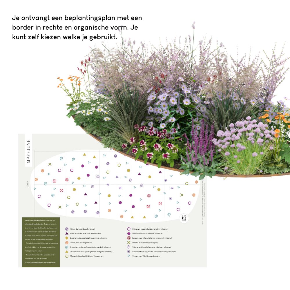 Borderpakket SPRINGFIELD voor halfschaduw en volle zon