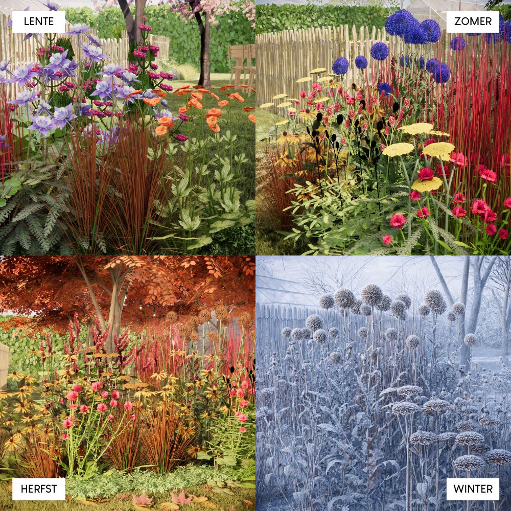 Borderpakket CHIDDINGTON voor volle zon in bonte kleuren