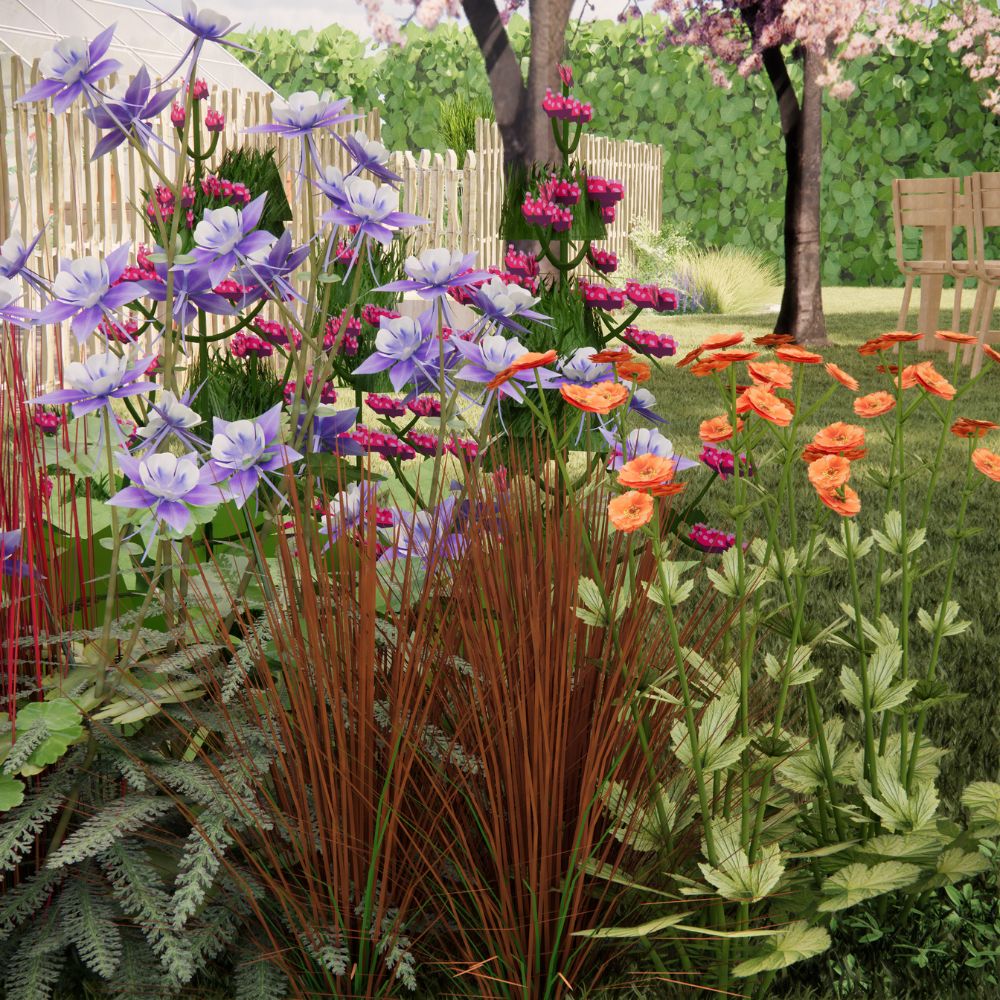 Borderpakket CHIDDINGTON voor volle zon in bonte kleuren