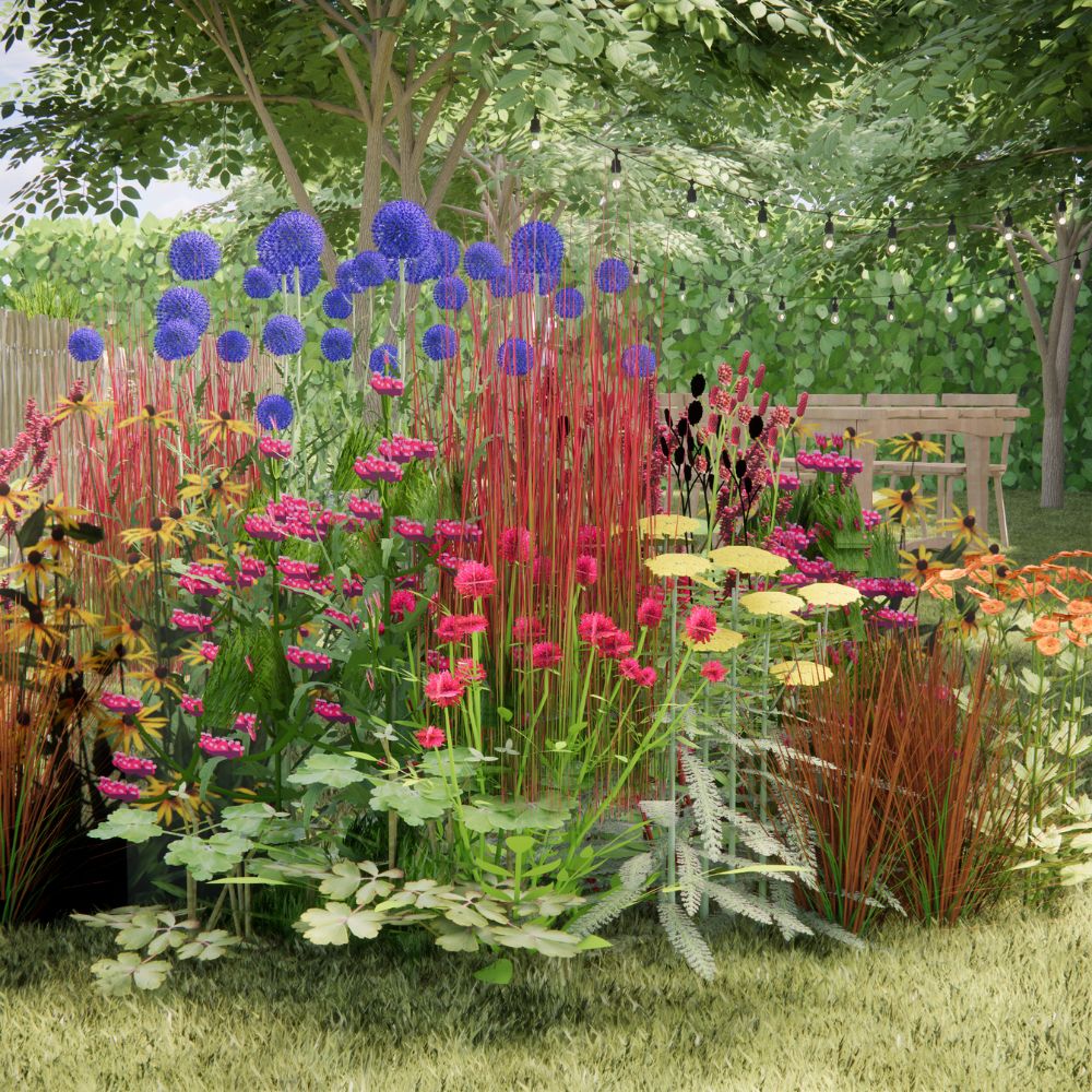 Borderpakket CHIDDINGTON voor volle zon in bonte kleuren