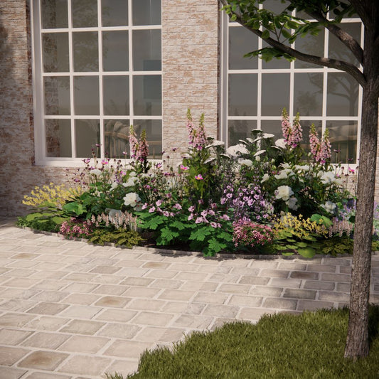 Borderpakket ABBOTSBURY voor volle zon met rozen