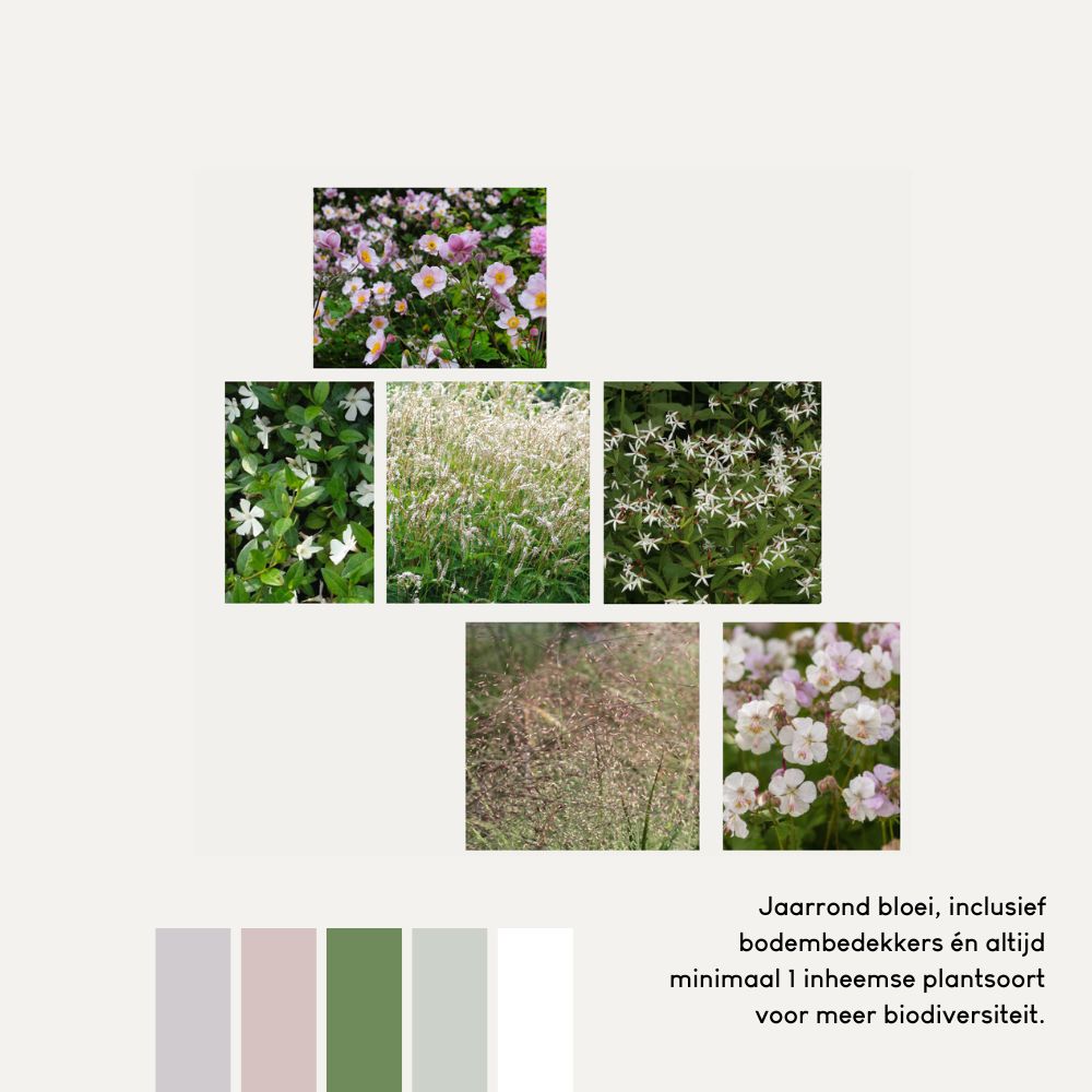 Geveltuin AMBERLEY voor (half)schaduw