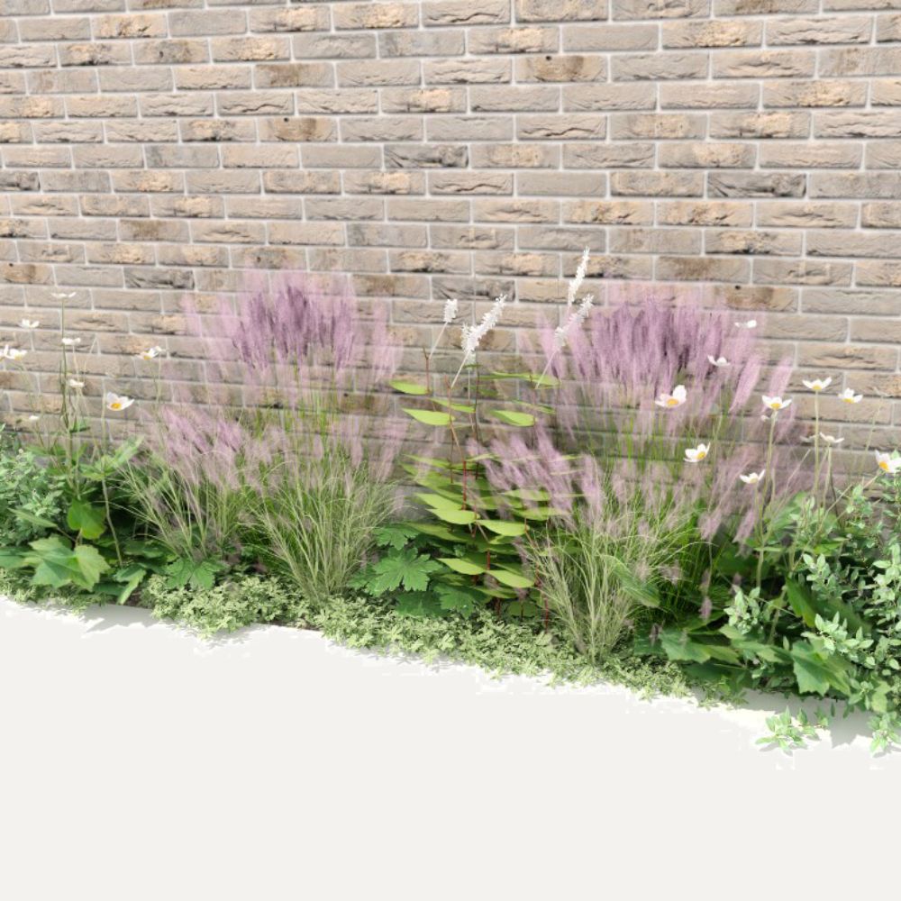 Geveltuin AMBERLEY voor (half)schaduw