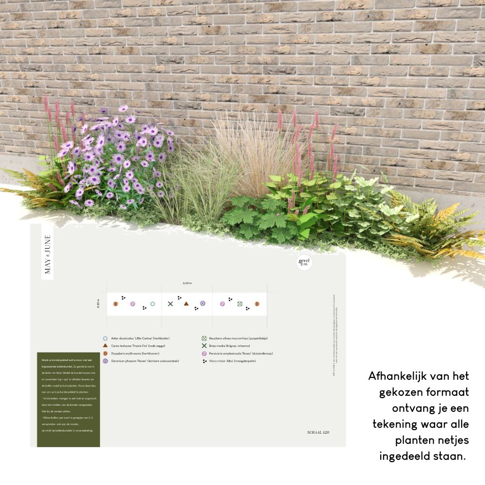 Geveltuin MIDHURST voor (half)schaduw