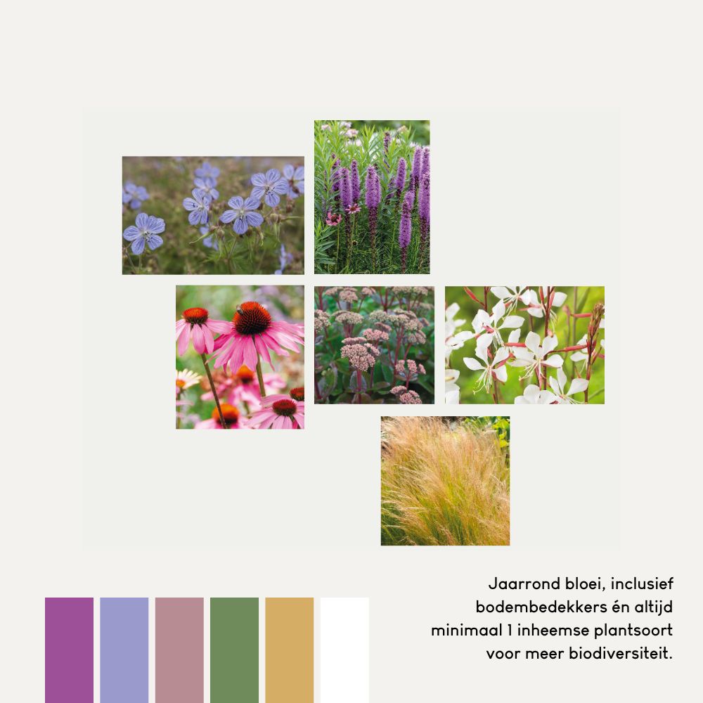 Geveltuin BURFORD voor volle zon