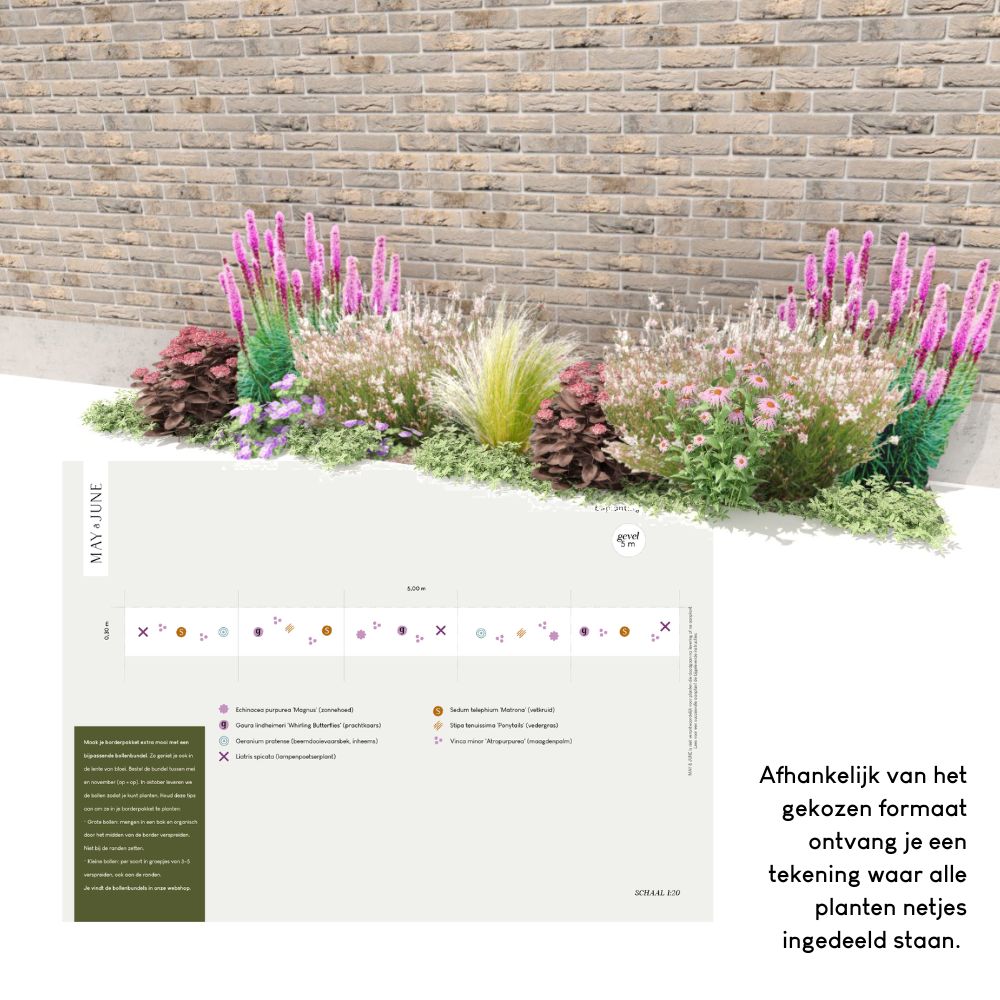 Geveltuin BURFORD voor volle zon