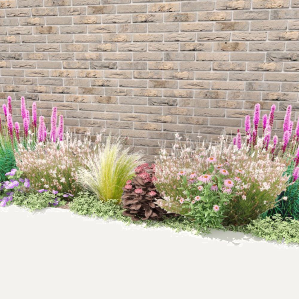 Geveltuin BURFORD voor volle zon