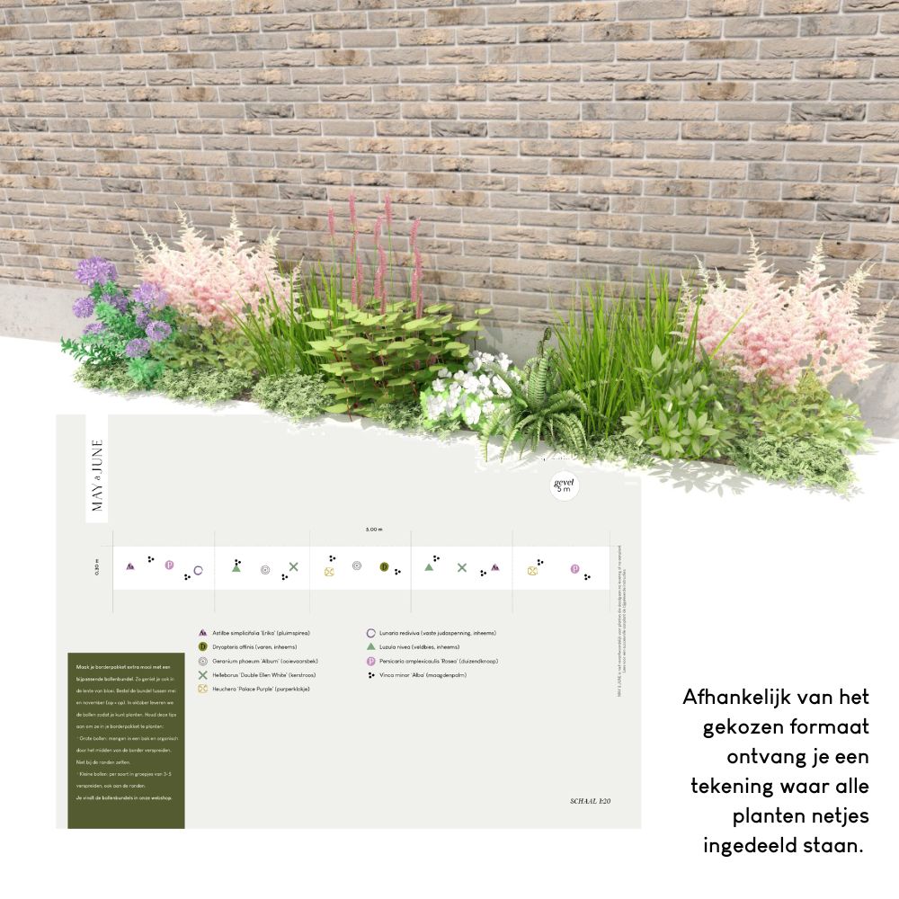 Geveltuin CRANNACOMBE voor (half)schaduw