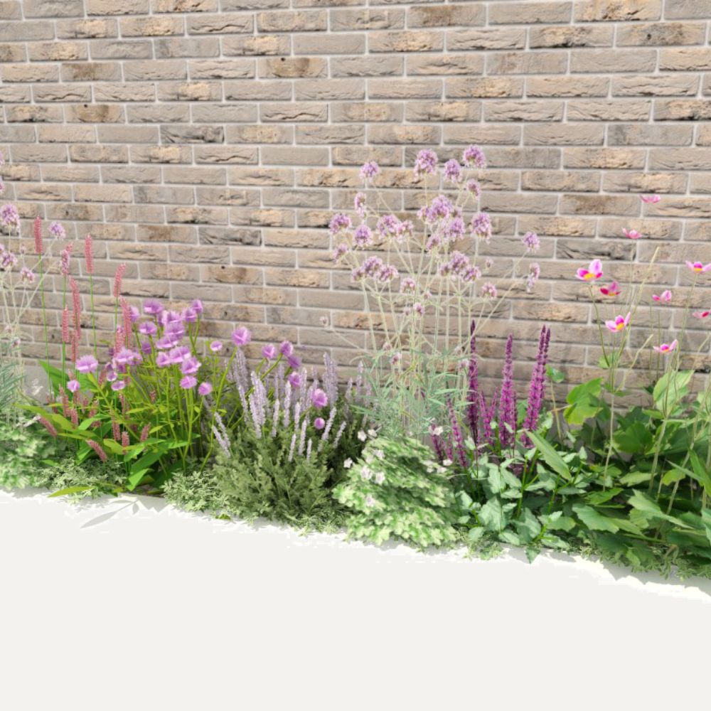 Geveltuin MILLBROOK voor halfschaduw en volle zon