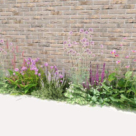 Geveltuin MILLBROOK voor halfschaduw en volle zon