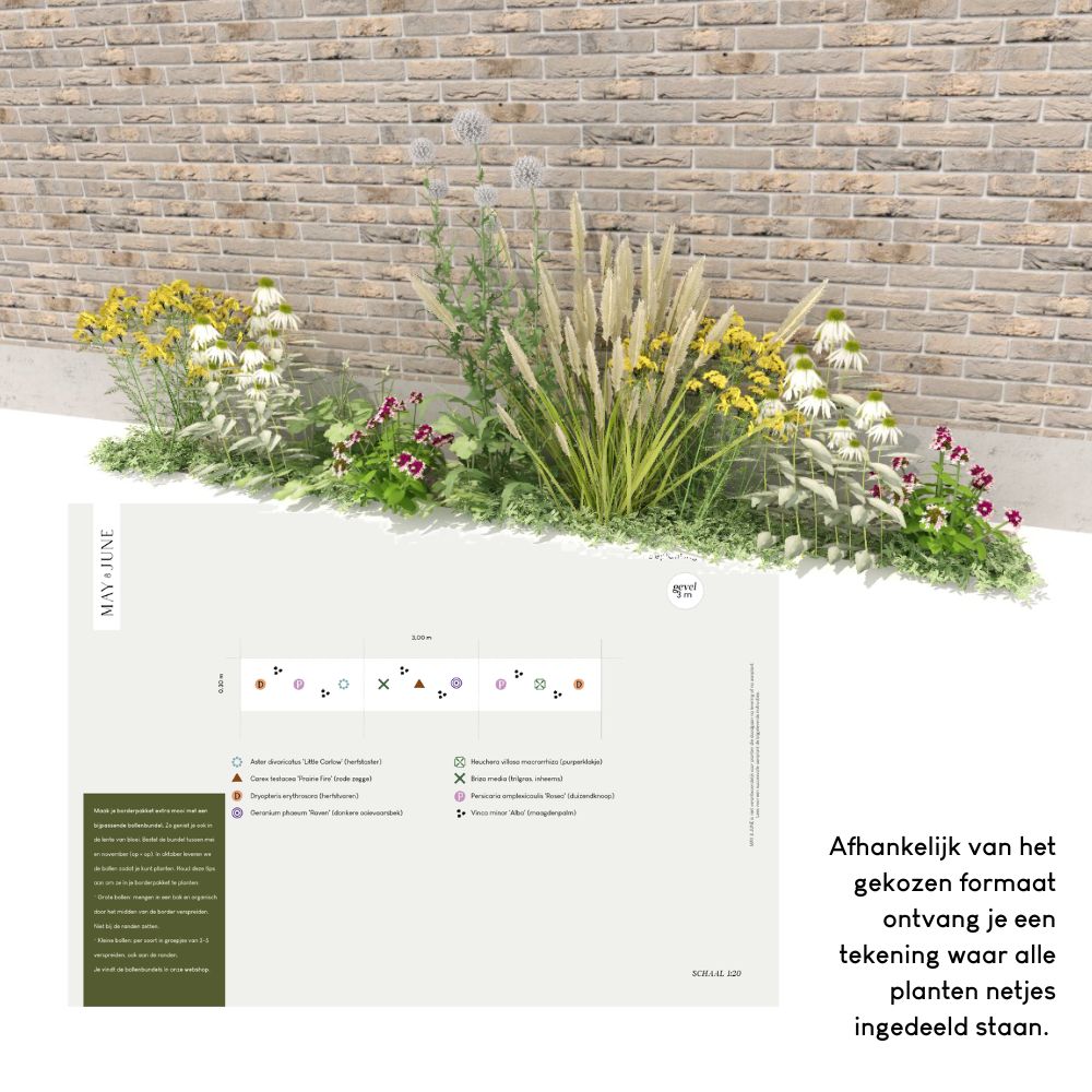 Geveltuin MAYFIELD prairiestijl voor volle zon