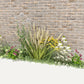 Geveltuin MAYFIELD prairiestijl voor volle zon