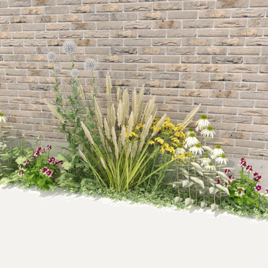 Geveltuin MAYFIELD prairiestijl voor volle zon