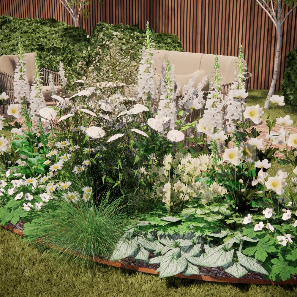 Borderpakket LANGHAM voor volle zon met struiken