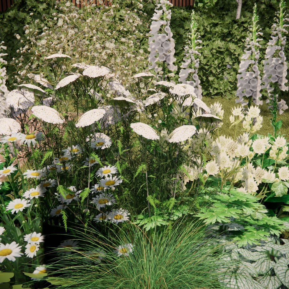 Borderpakket LANGHAM voor volle zon met struiken