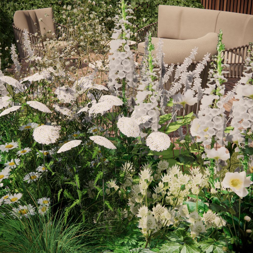 Borderpakket LANGHAM voor volle zon met struiken