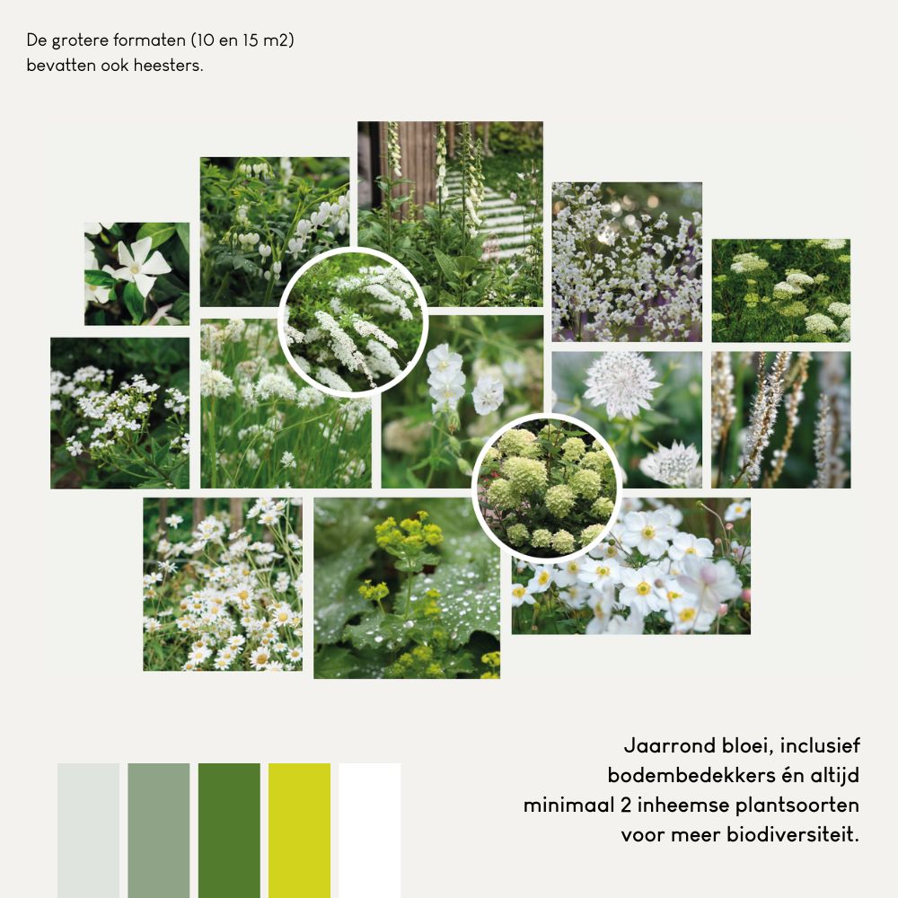 Borderpakket LANGHAM voor volle zon met struiken
