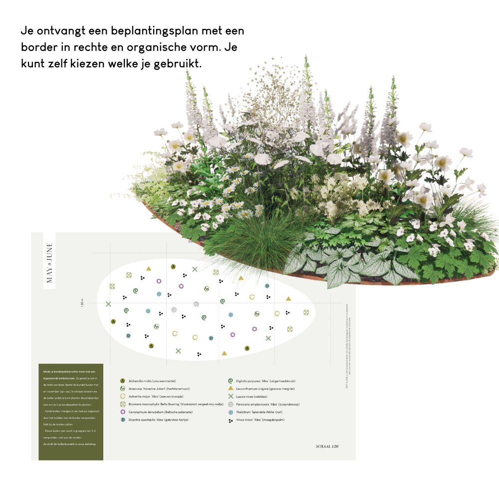 Borderpakket LANGHAM voor volle zon met struiken