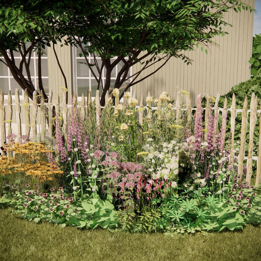 Borderpakket WIMBORNE voor volle zon