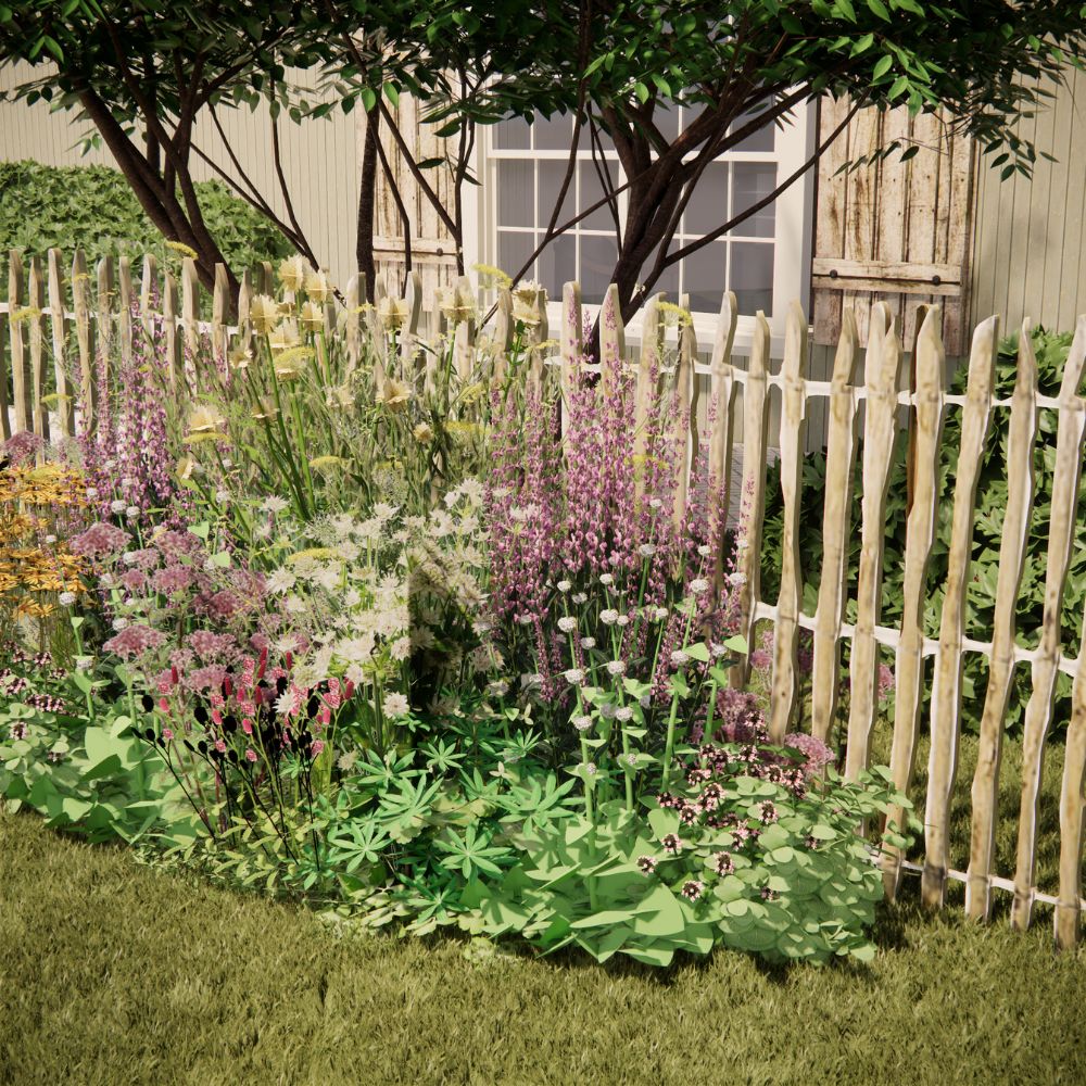 Borderpakket WIMBORNE voor volle zon