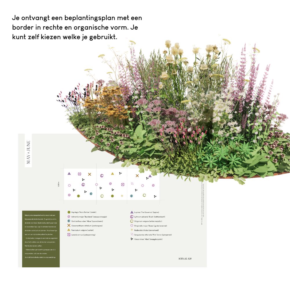 Borderpakket WIMBORNE voor volle zon
