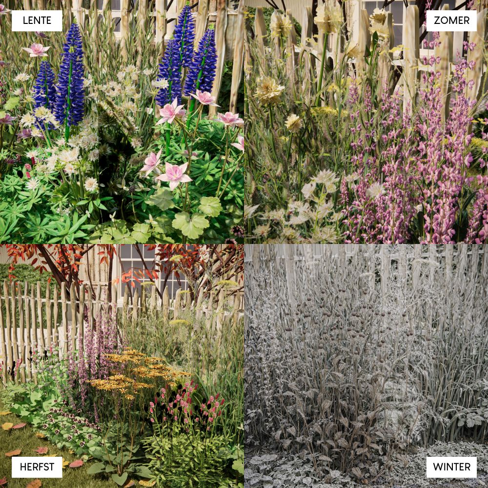 Borderpakket WIMBORNE voor volle zon