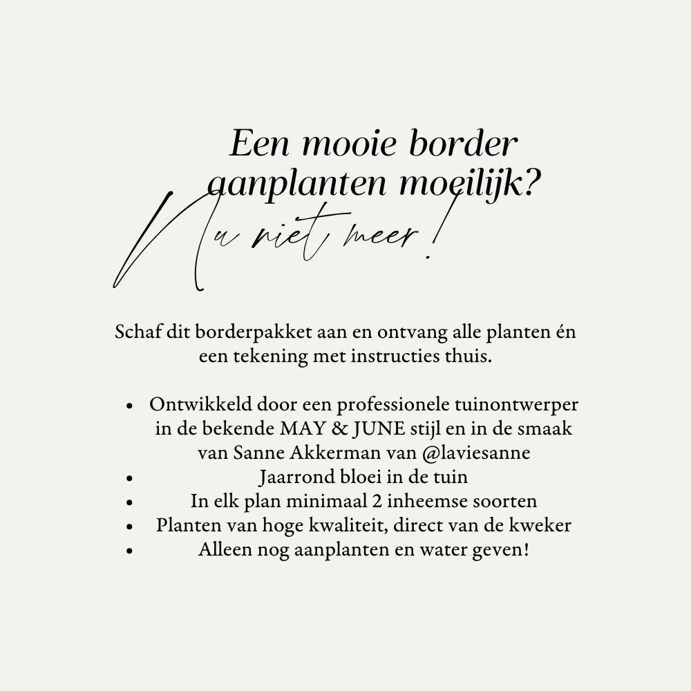 Borderpakket SANNE - MAY & JUNE x Laviesanne