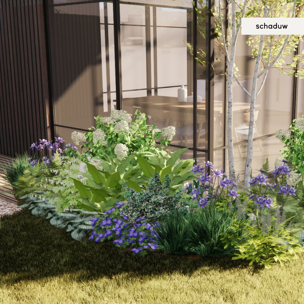 Borderpakket SANNE - MAY & JUNE x Laviesanne