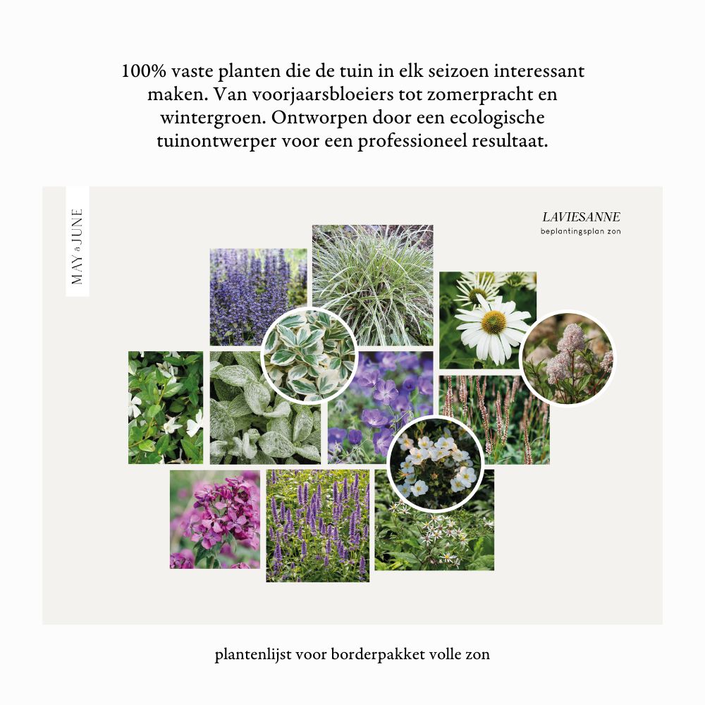 Borderpakket SANNE - MAY & JUNE x Laviesanne