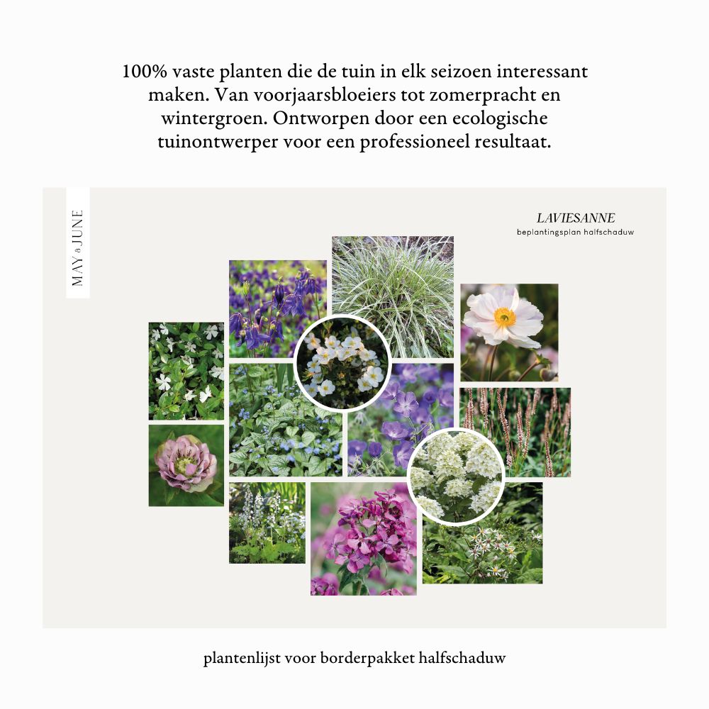 Borderpakket SANNE - MAY & JUNE x Laviesanne