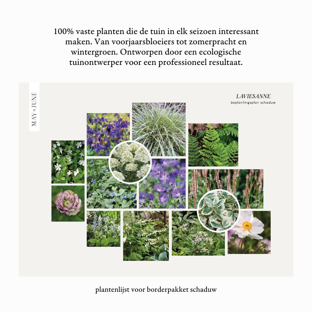 Borderpakket SANNE - MAY & JUNE x Laviesanne