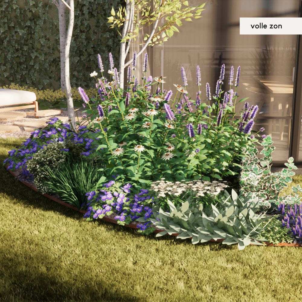 Borderpakket SANNE - MAY & JUNE x Laviesanne