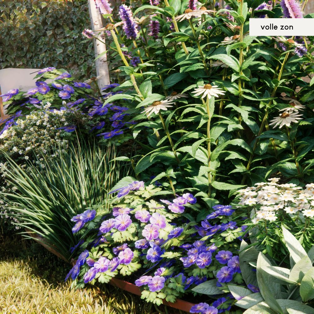 Borderpakket SANNE - MAY & JUNE x Laviesanne