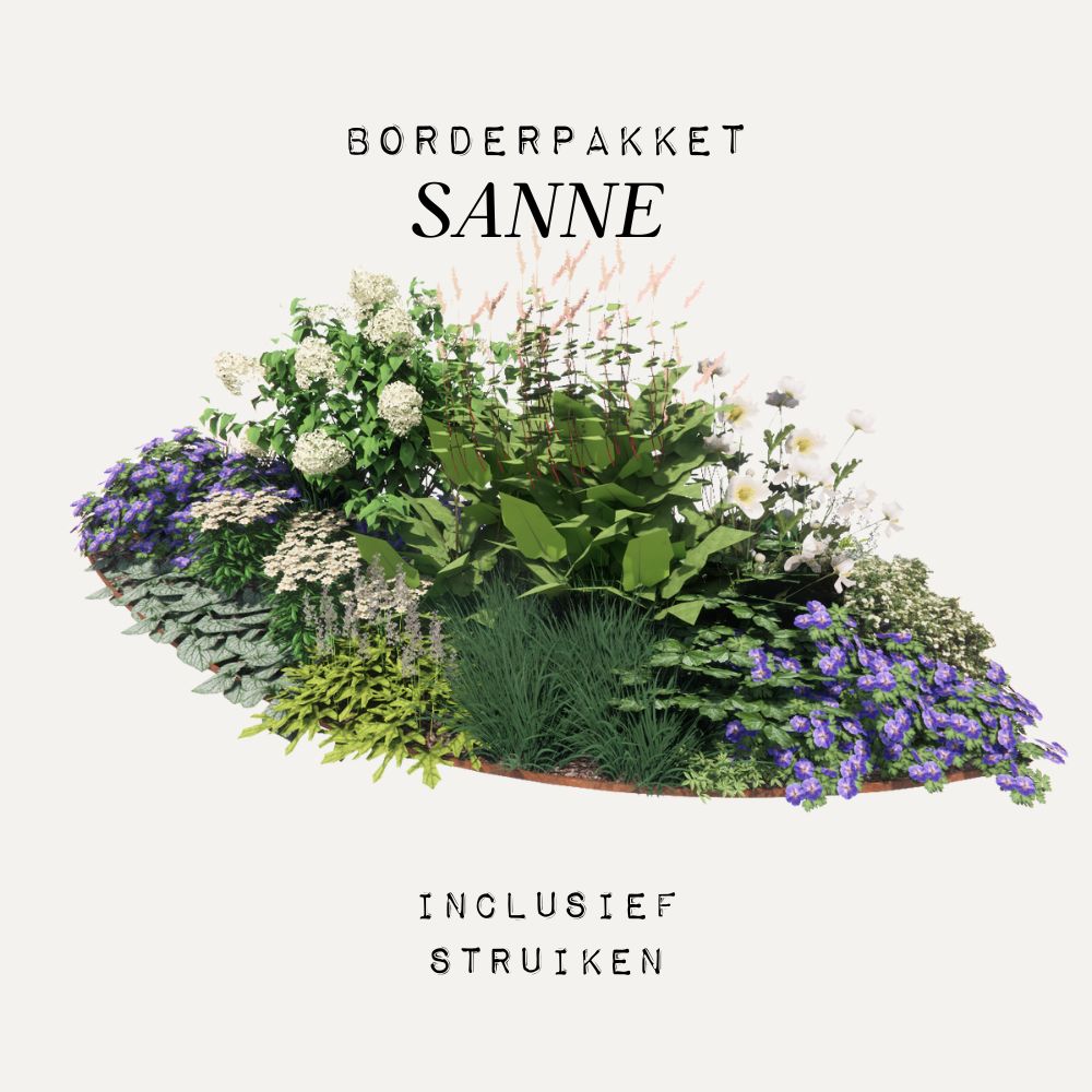 Borderpakket SANNE - MAY & JUNE x Laviesanne