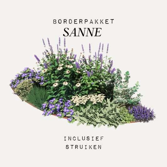 Borderpakket SANNE - MAY & JUNE x Laviesanne