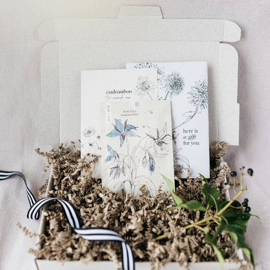 Brievenbuscadeau Cadeaubon XL