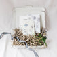 Brievenbuscadeau Cadeaubon XL
