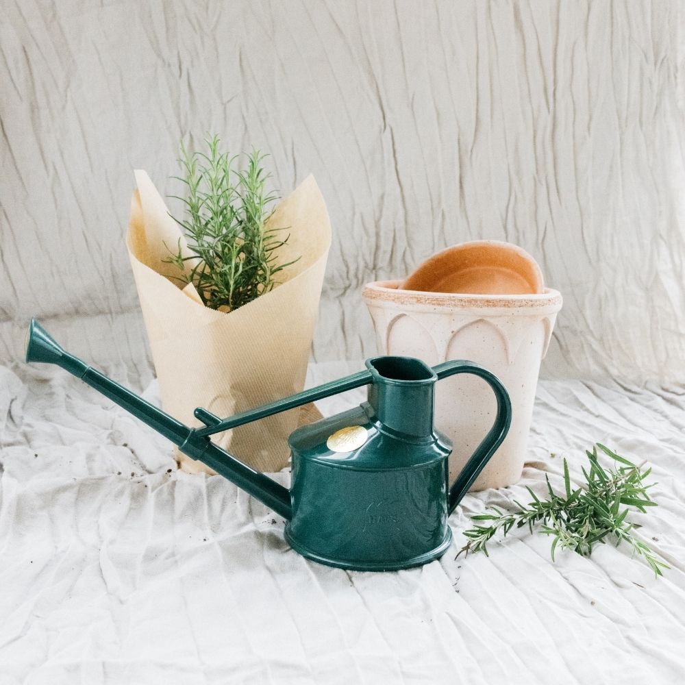 Cadeaupakket Kruiden in pot
