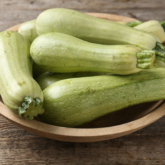 Courgette 'Bianca di Trieste'