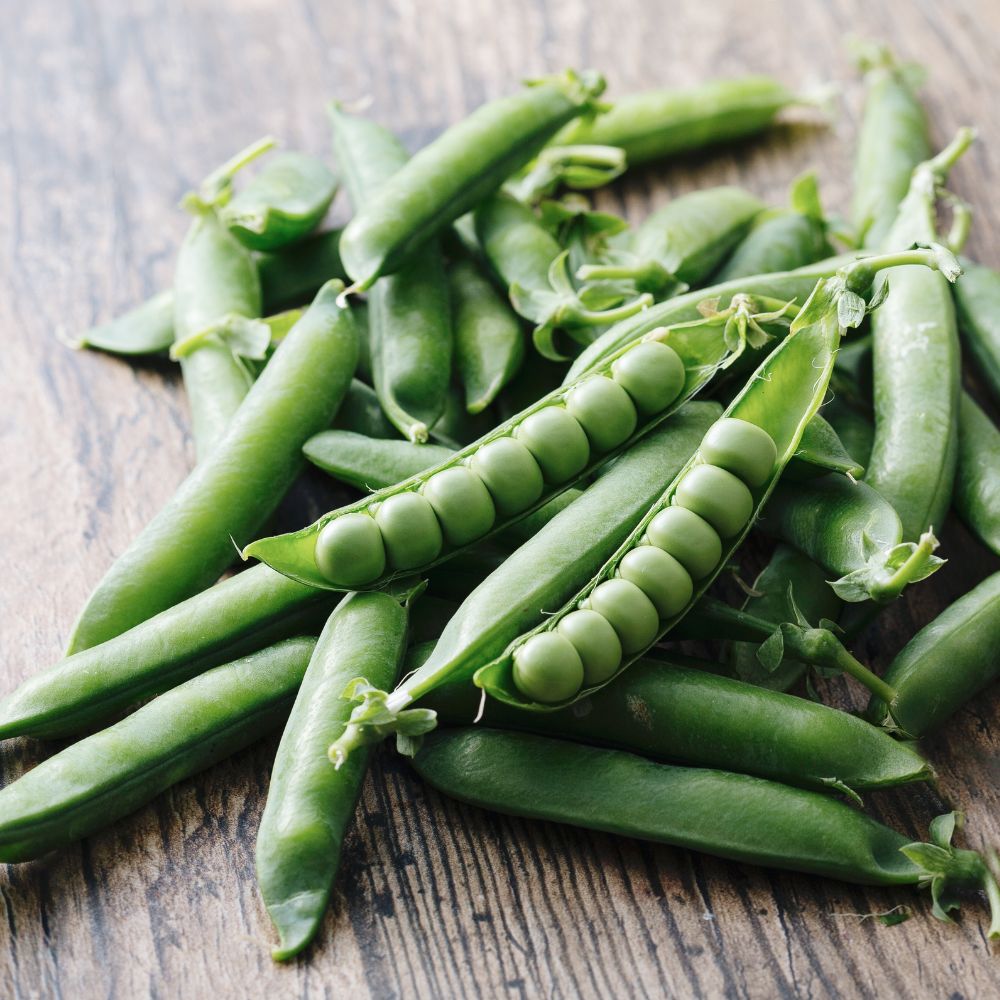 Doperwt 'Karina' BIO