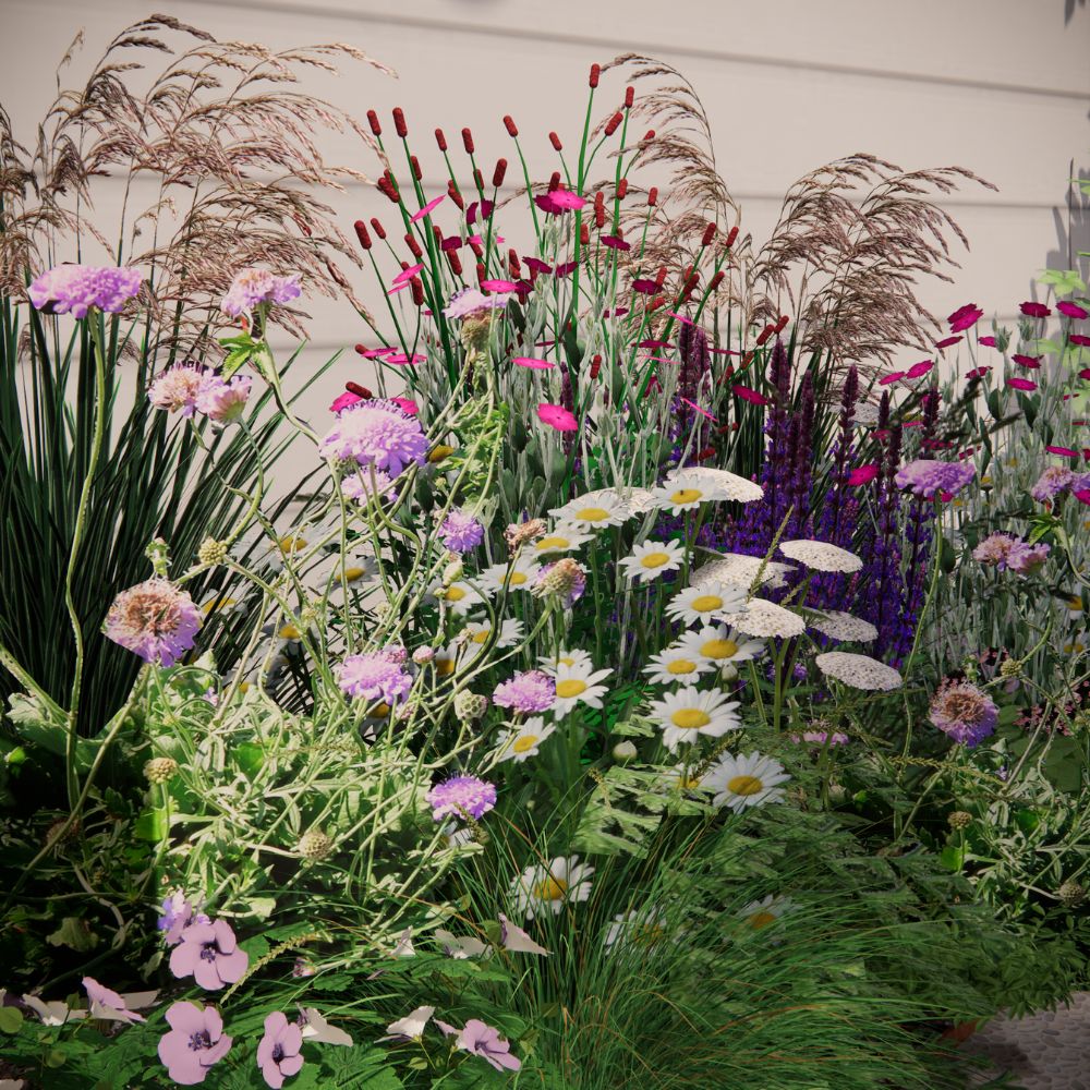 Borderpakket DULVERTON voor een 100% inheemse border