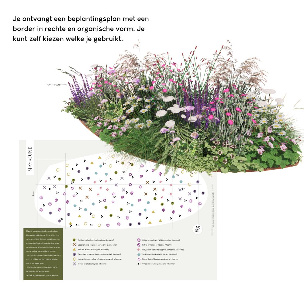 Borderpakket DULVERTON voor een 100% inheemse border