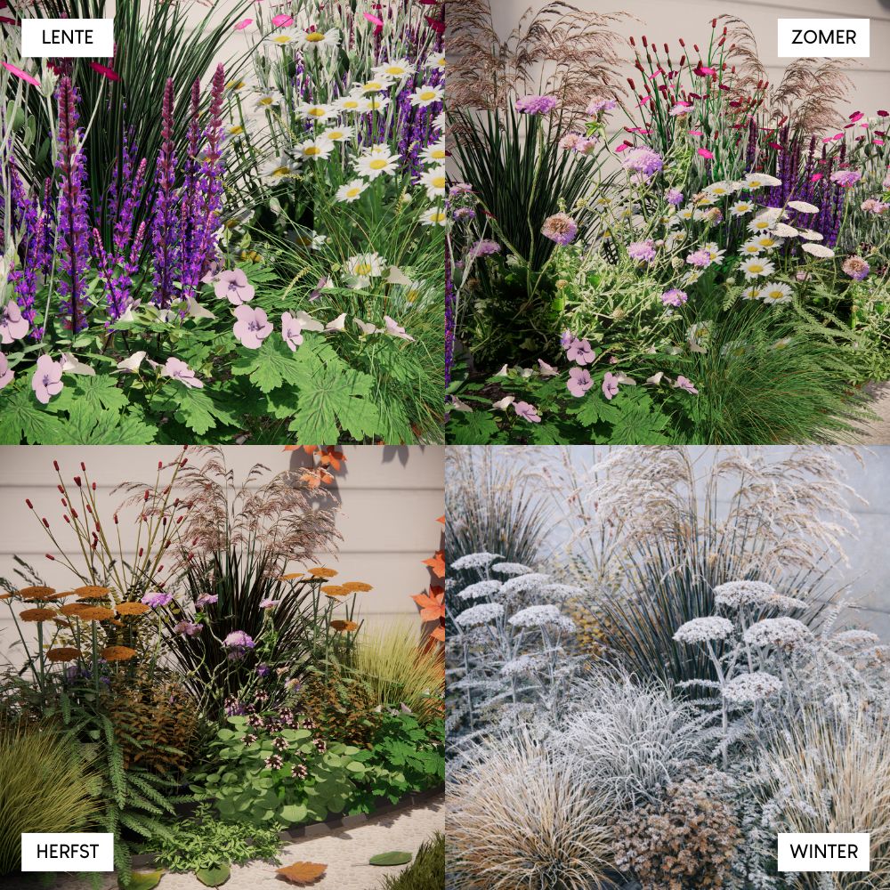 Borderpakket DULVERTON voor een 100% inheemse border