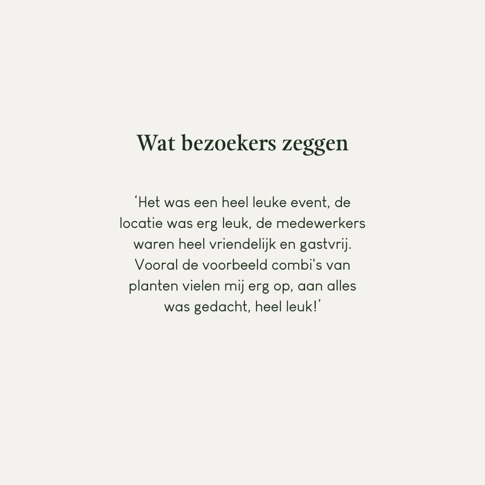 Garden Fest by MAY & JUNE