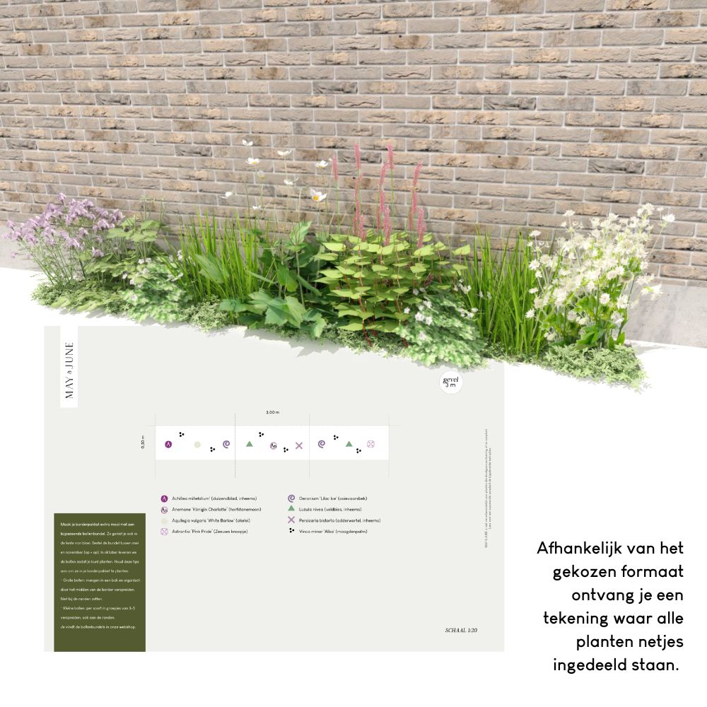 Geveltuin ROSEMOOR voor halfschaduw en volle zon