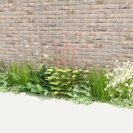 Geveltuin ROSEMOOR voor halfschaduw en volle zon